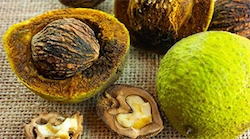 Black-Walnut