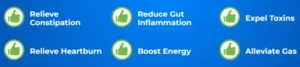 Gut-Vita-Benefits