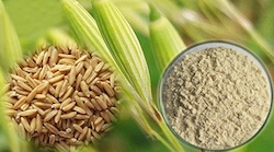 Oat-Bran-Powder