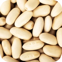Phosphatidylserine (PHE)