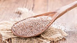 Psyllium-Husk