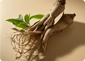 Resveratrol
