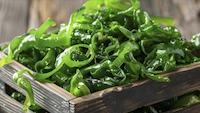 Wakame